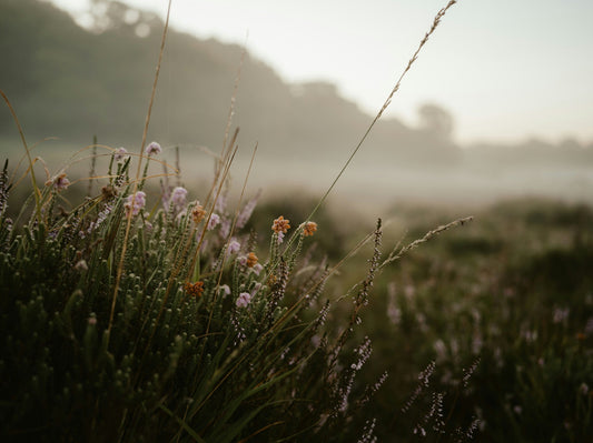 Main Character Energy: Outfits Inspired by Classic Heroines