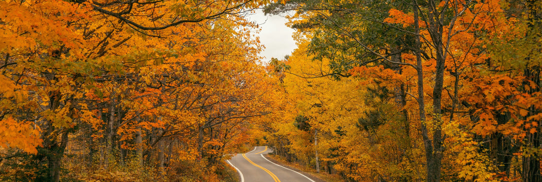 8 Coordinated Family Photo Outfit Ideas for Fall (Featuring Mae Threads Dresses)