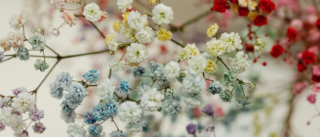 If I Were Elle Fanning’s Stylist: 5 Mae Threads Looks She’d Absolutely Wear