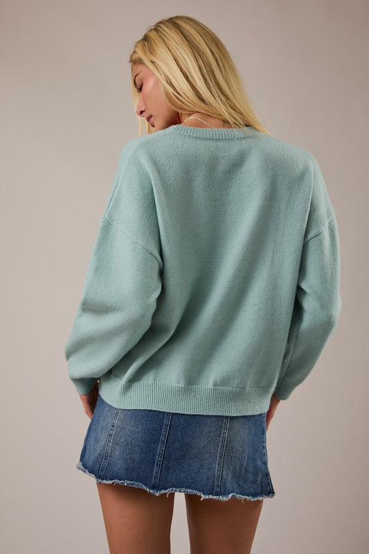 Crew neck mint long sleeve sweater with a black, white , and brown graphic terrier in the center.