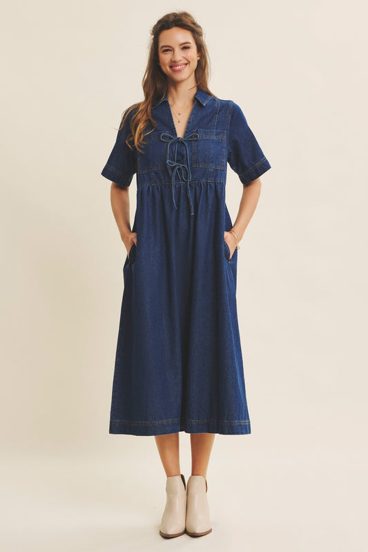 The Cloverfield Denim Dress