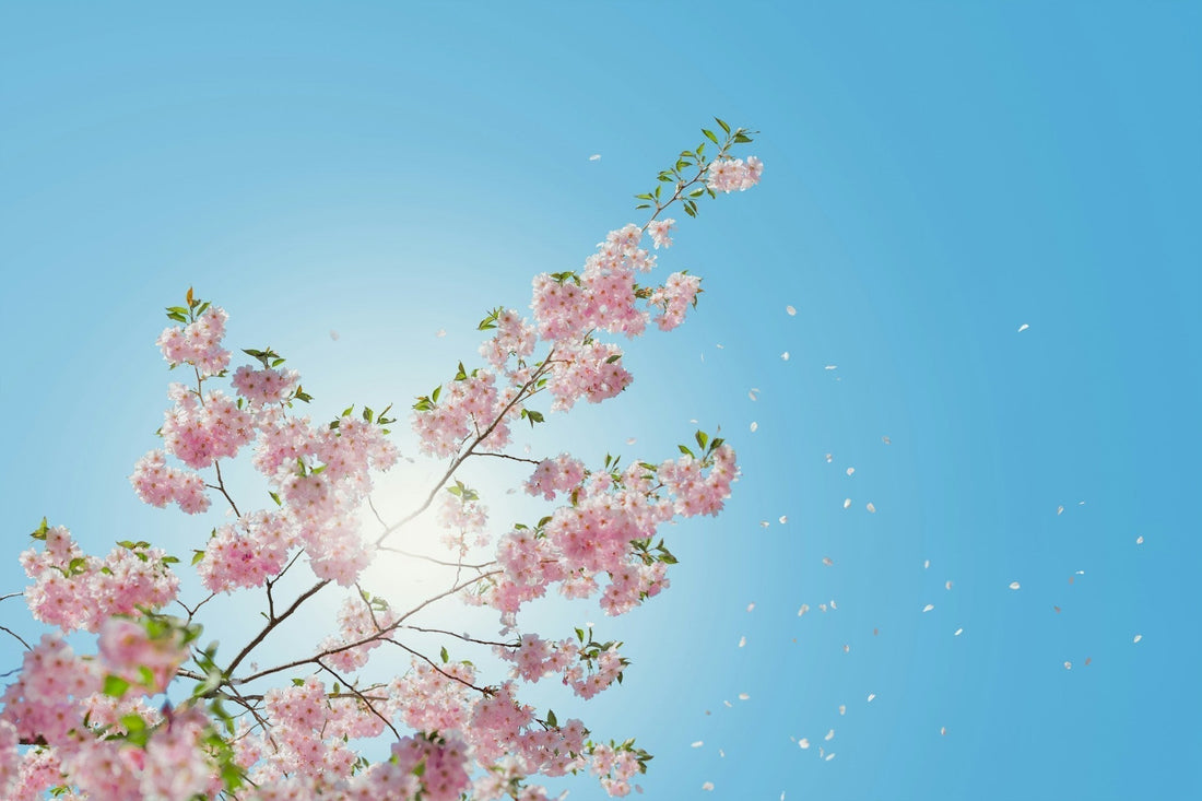 Our Favorite Springtime Pieces in YOUR Color Season