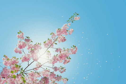 Our Favorite Springtime Pieces in YOUR Color Season