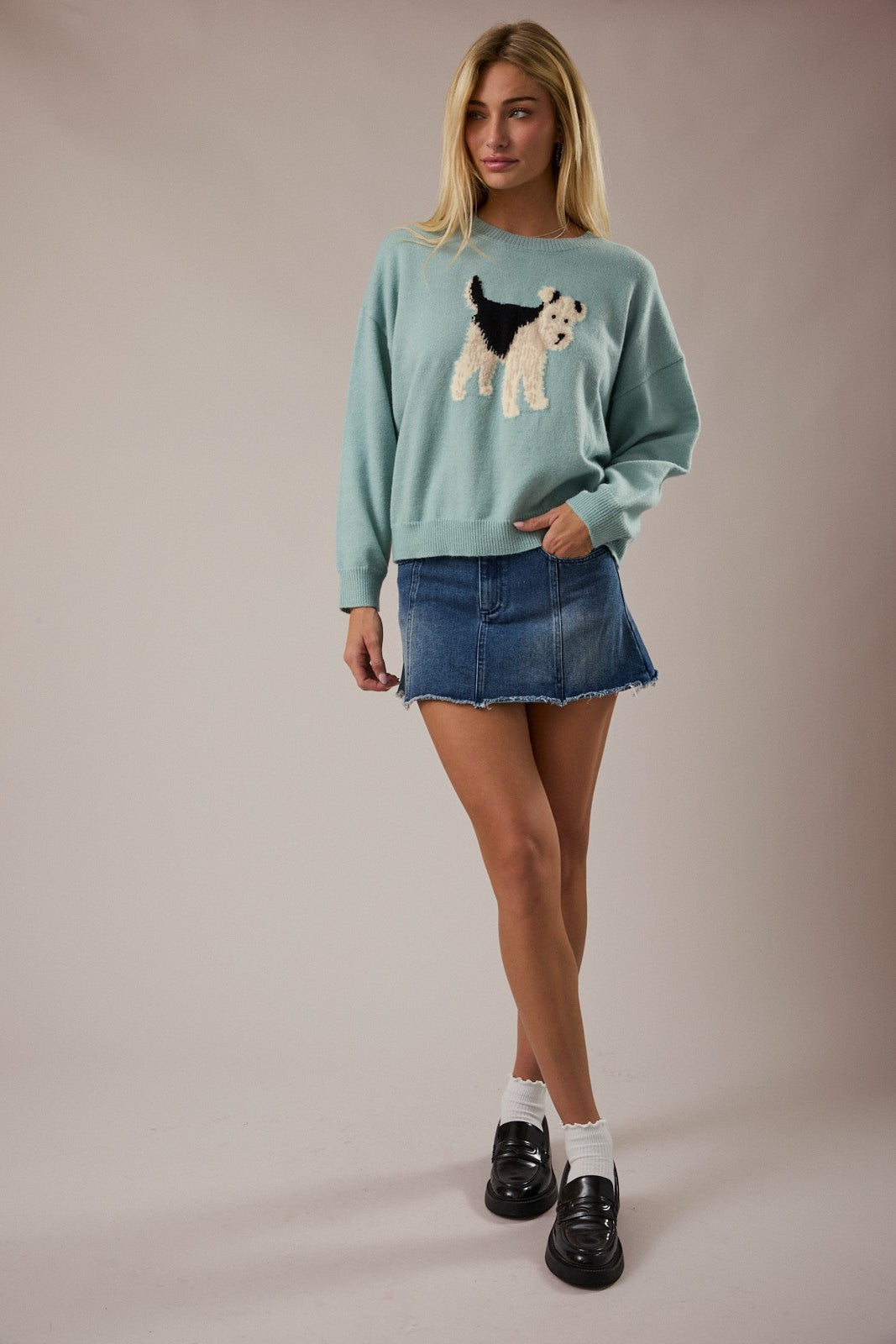 Crew neck mint long sleeve sweater with a black, white , and brown graphic terrier in the center. 