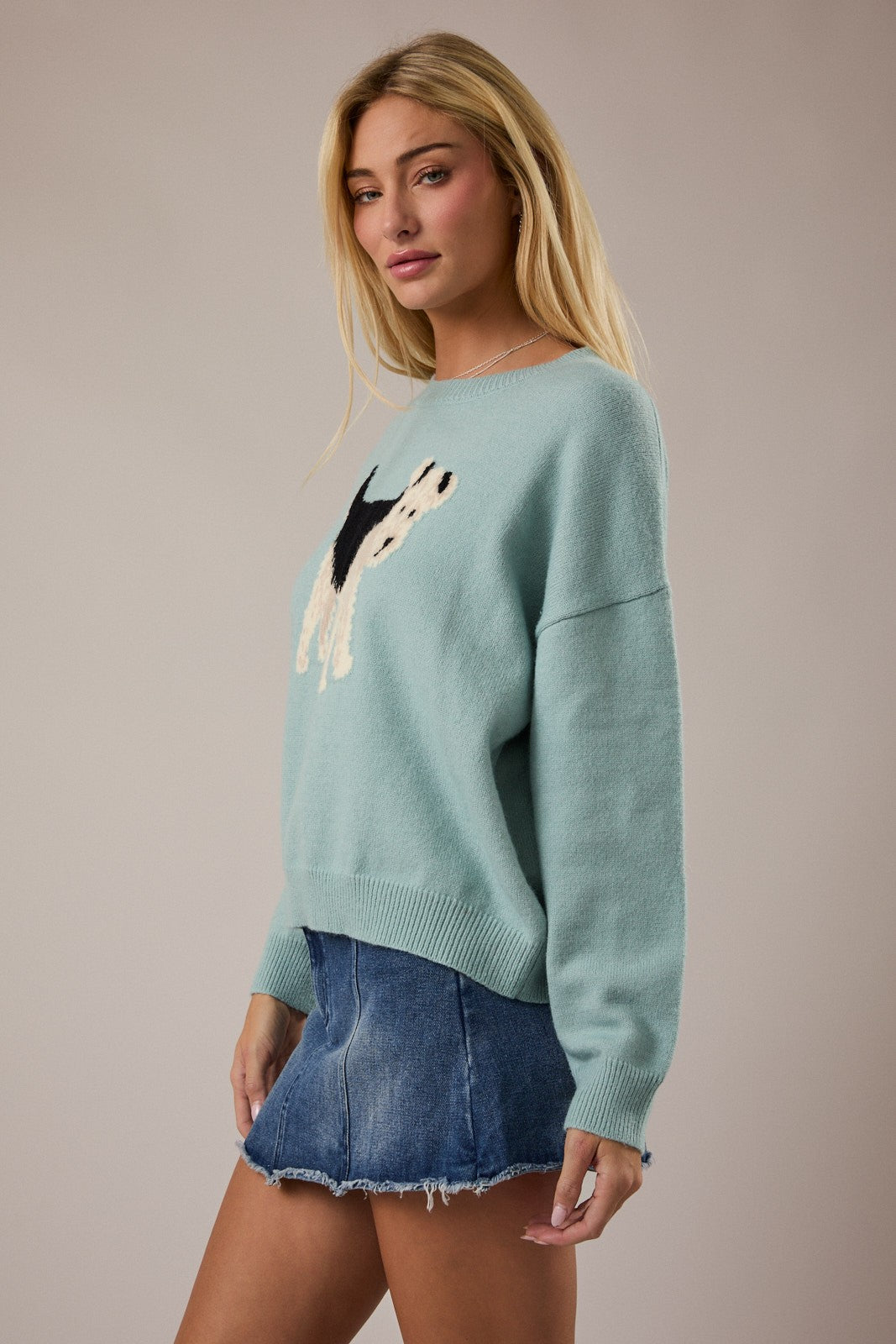 Crew neck mint long sleeve sweater with a black, white , and brown graphic terrier in the center. 