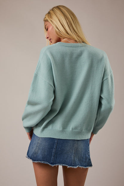 Crew neck mint long sleeve sweater with a black, white , and brown graphic terrier in the center. 