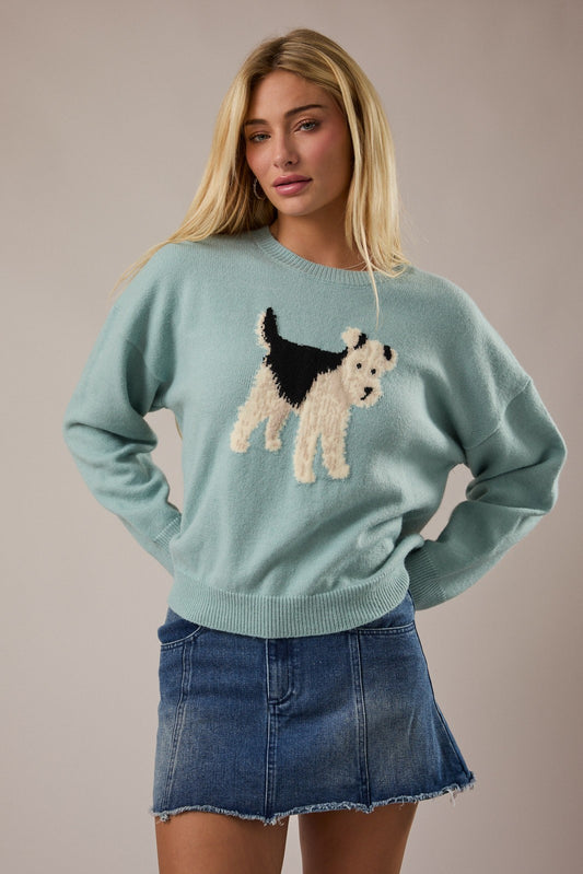 Crew neck mint long sleeve sweater with a black, white , and brown graphic terrier in the center. 