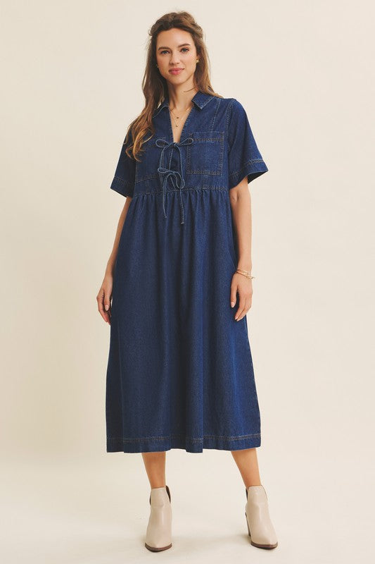 The Cloverfield Denim Dress