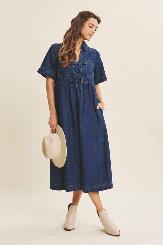 The Cloverfield Denim Dress